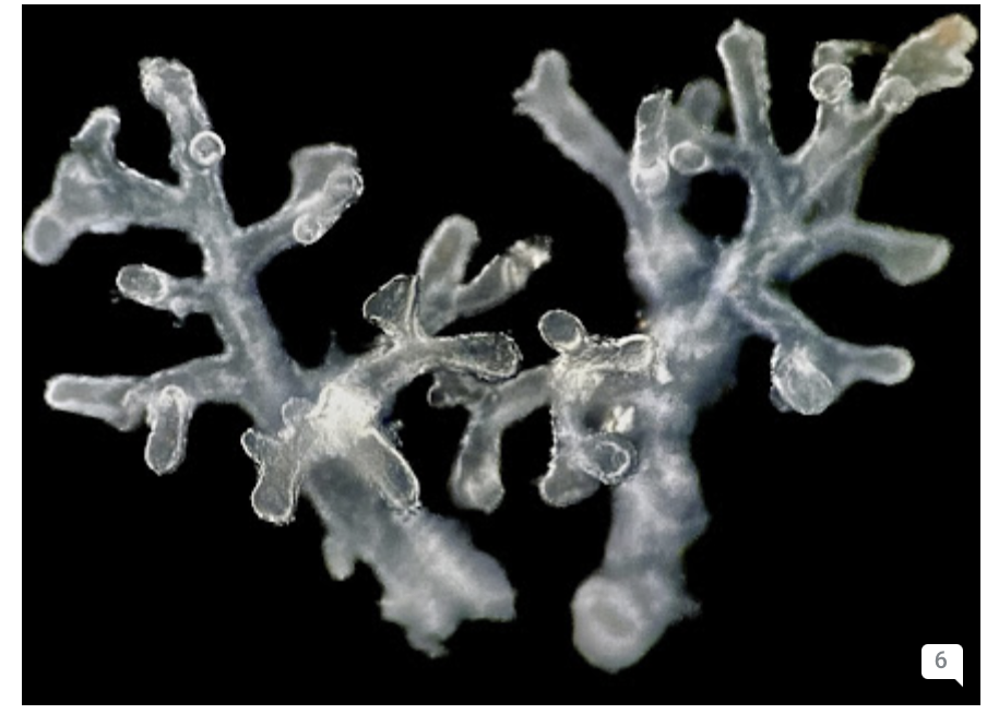 Scientific Photo