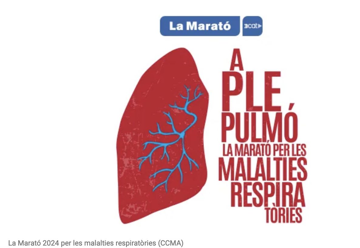 Picture Logo Marato TV3 2024